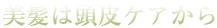 p2_t2